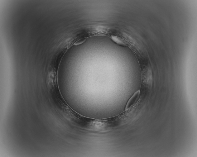 X0000113310425200909211146