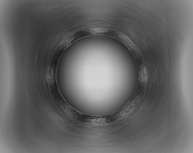 X0000113310426200909211146