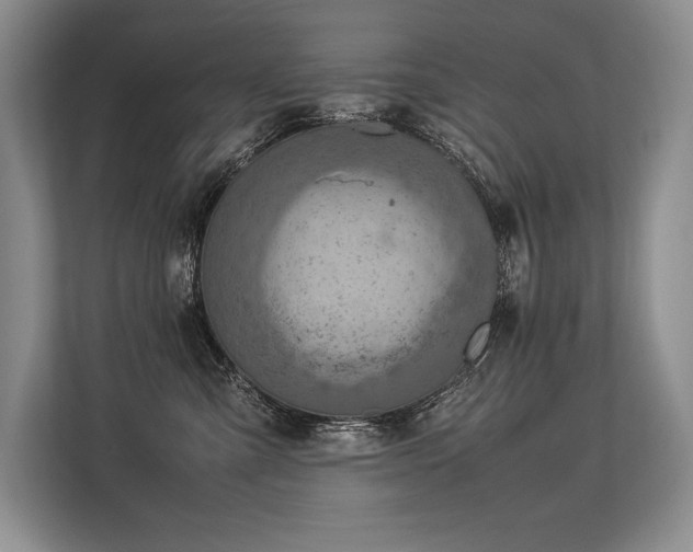 X0000113310427200909211146