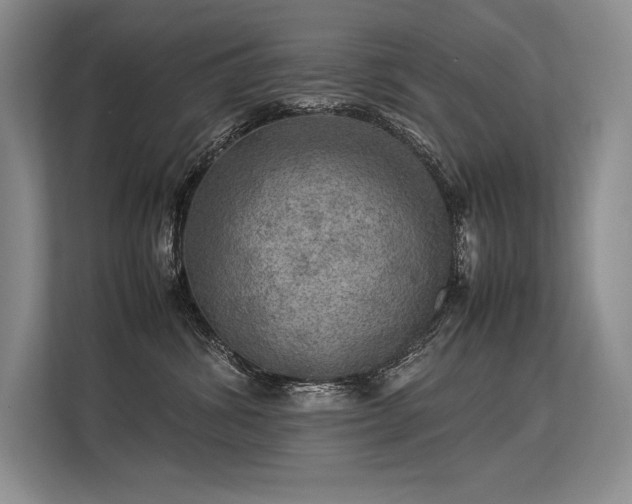 X0000113310428200909211146