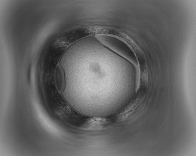 X0000113310429200909211146