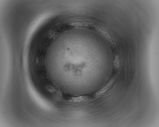 X0000113310430200909211146