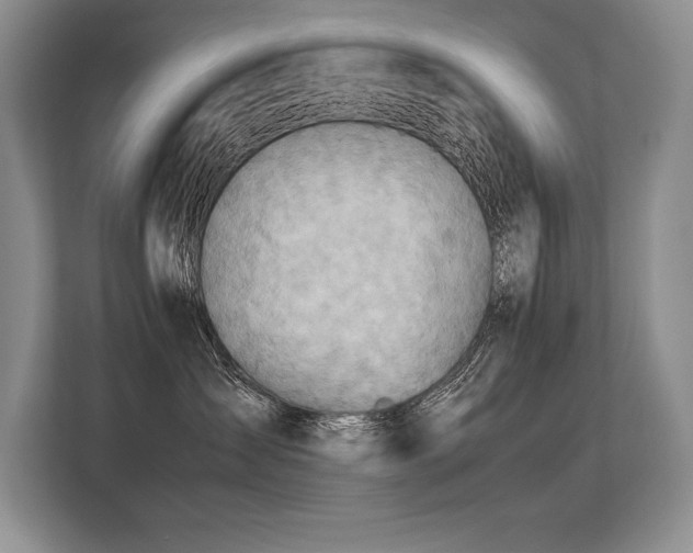 X0000113310431200909211146