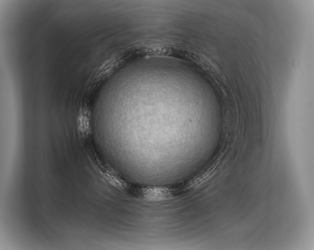 X0000113310432200909211146