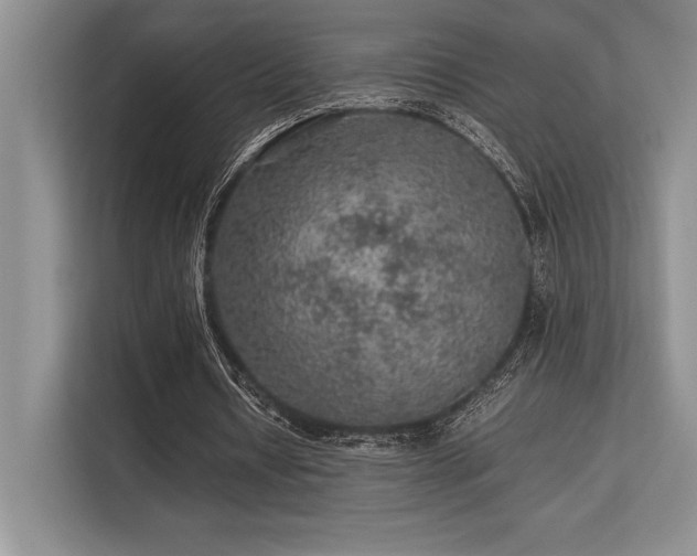 X0000113310434200909211145