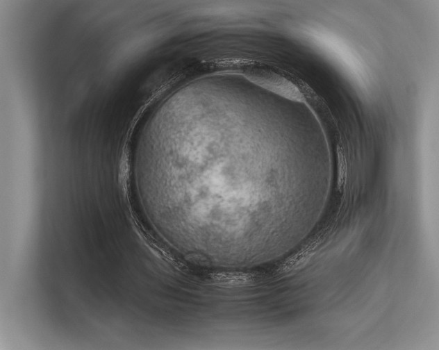 X0000113310435200909211145