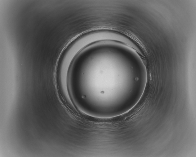 X0000113310436200909211145