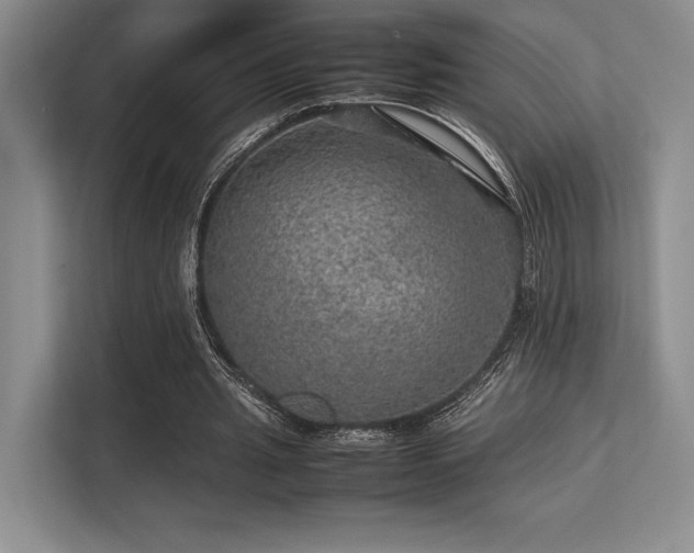 X0000113310437200909211145