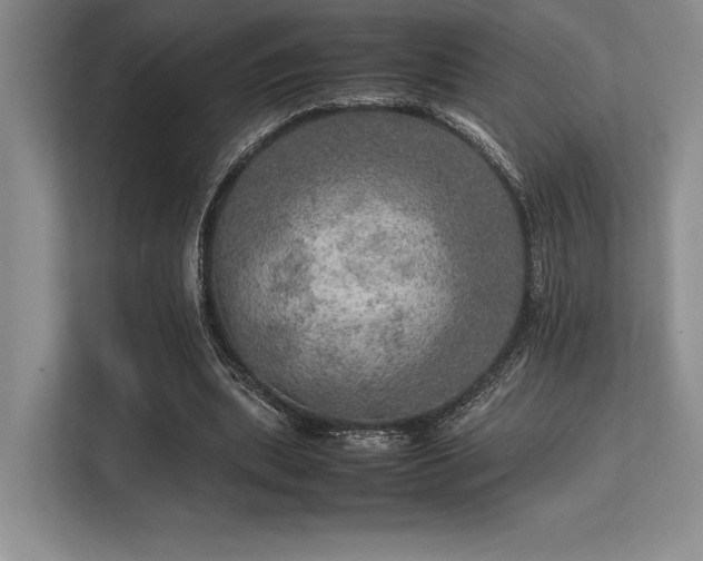 X0000113310439200909211145