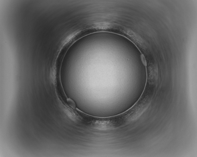 X0000113310440200909211145