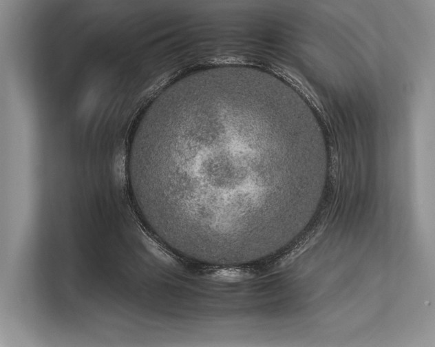 X0000113310441200909211145