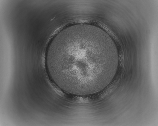 X0000113310442200909211145