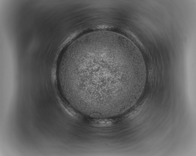 X0000113310443200909211145