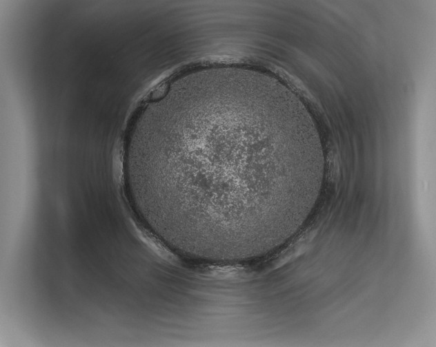 X0000113310446200909211145