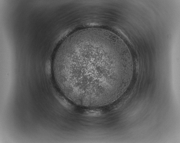 X0000113310447200909211145