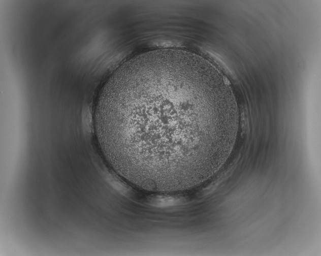 X0000113310453200909211145