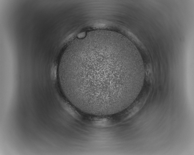 X0000113310454200909211145