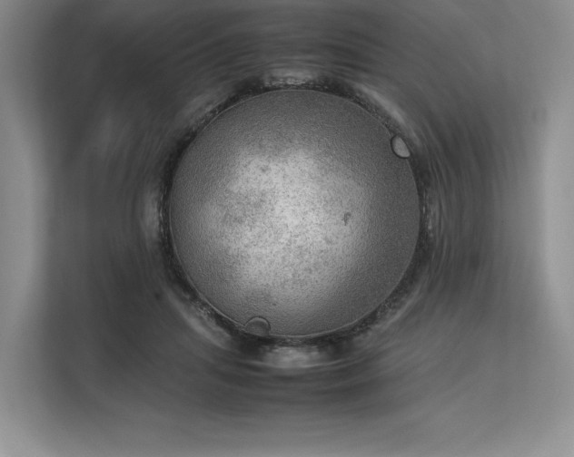 X0000113310455200909211145