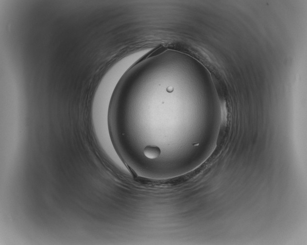 X0000113310456200909211145