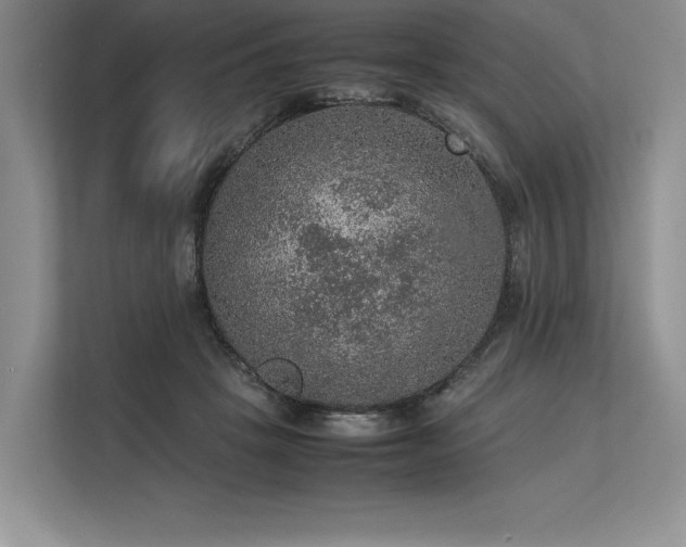 X0000113310457200909211145