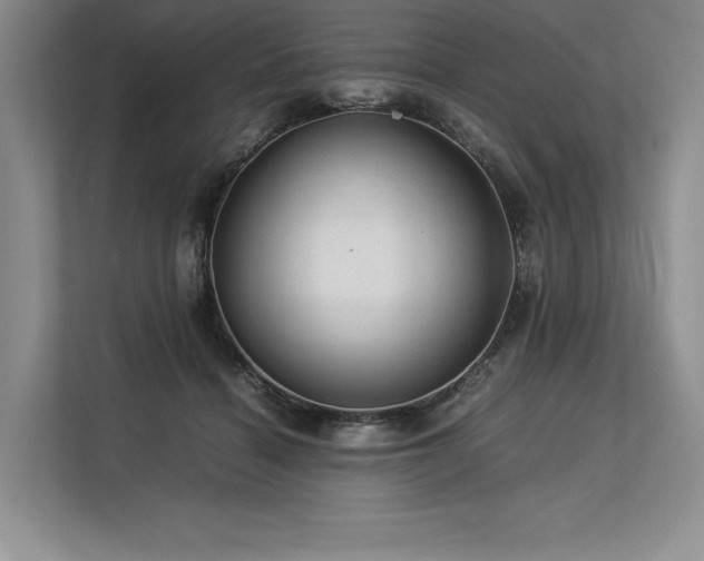 X0000113310460200909211145