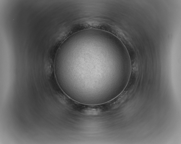 X0000113310464200909211145