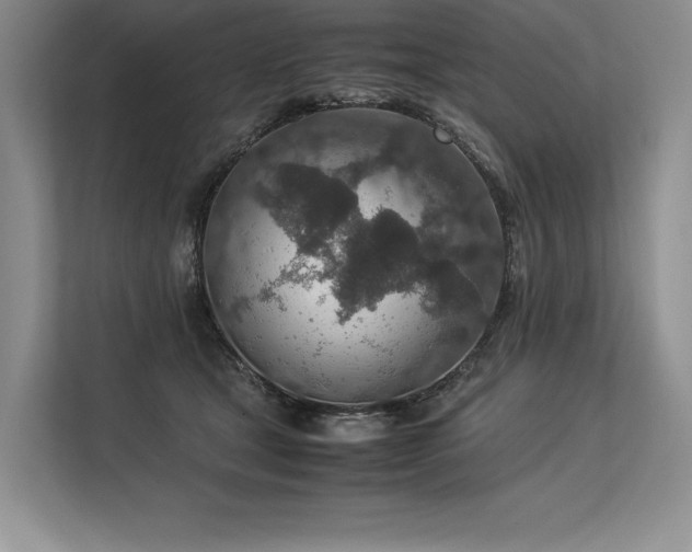 X0000113310465200909211145