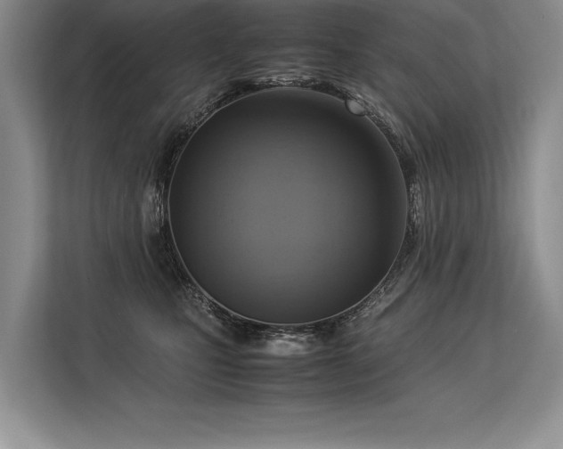 X0000113310471200909211145