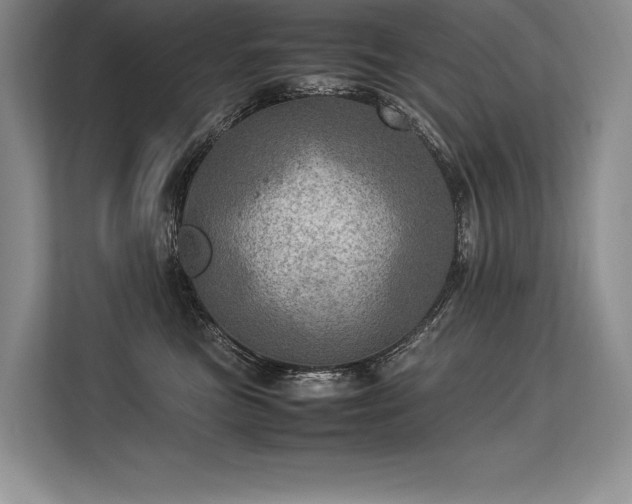 X0000113310473200909211145