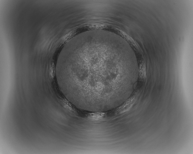 X0000113310474200909211145