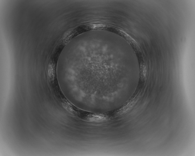 X0000113310475200909211146