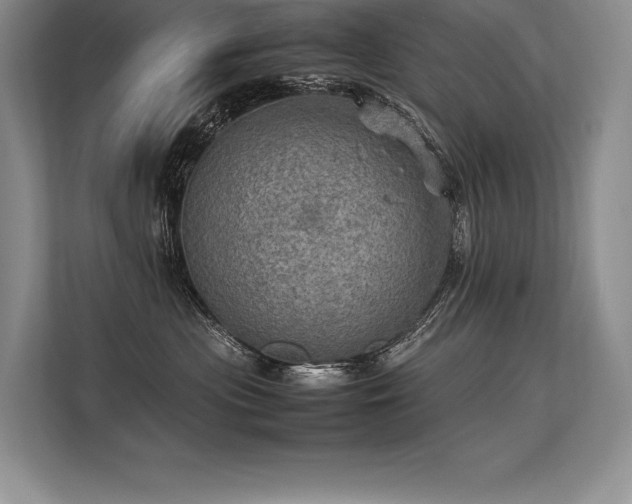 X0000113310477200909211146