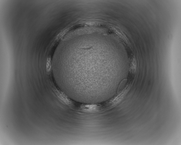 X0000113310478200909211146