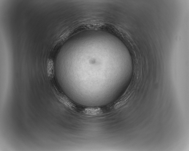 X0000113310480200909211146