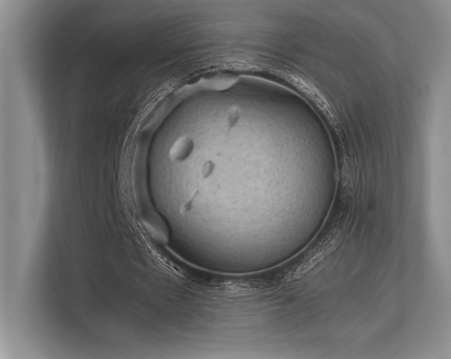 X0000113310481200909211145