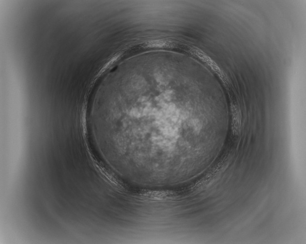 X0000113310482200909211145