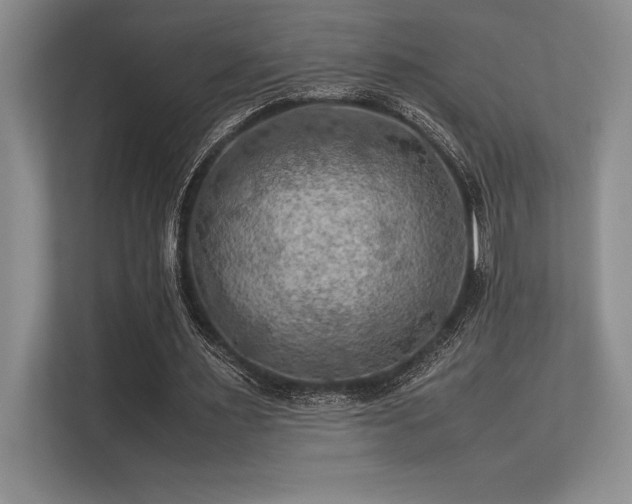 X0000113310483200909211145