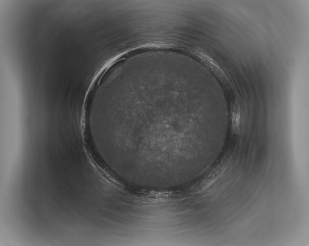 X0000113310484200909211145