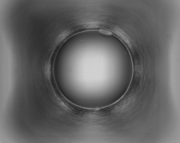 X0000113310485200909211145