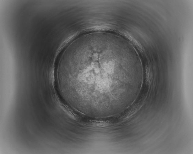 X0000113310486200909211145