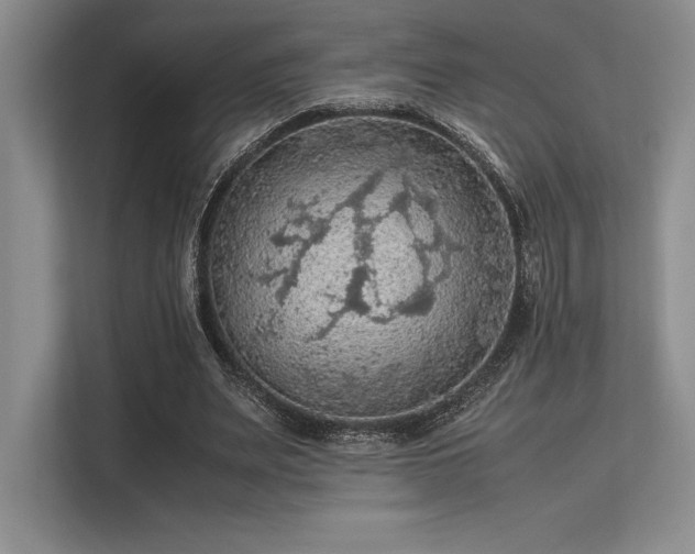 X0000113310487200909211145