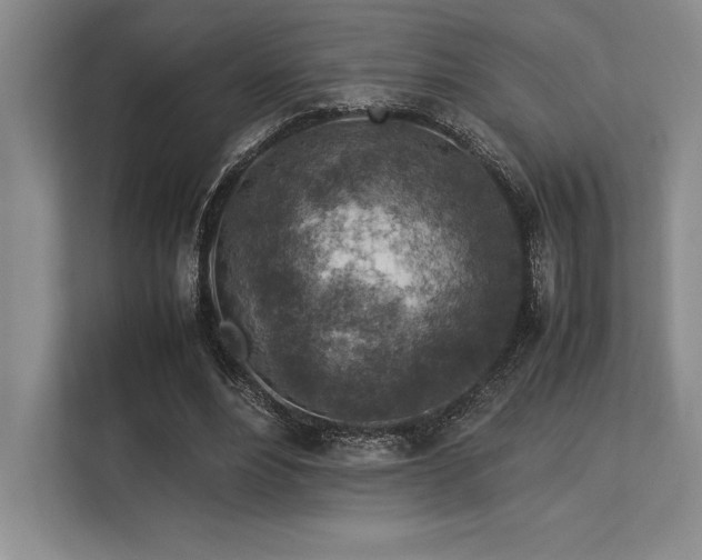 X0000113310488200909211145