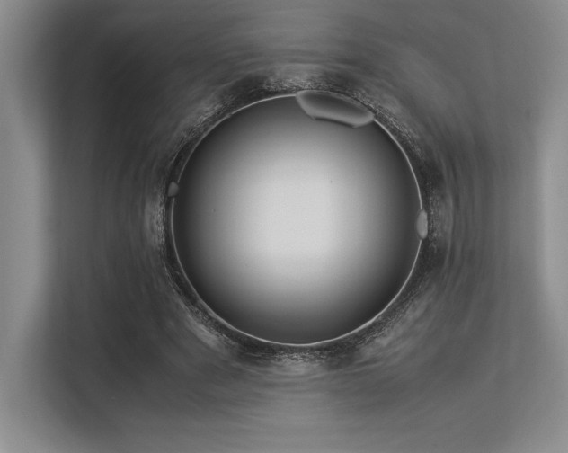 X0000113310489200909211145