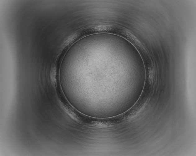 X0000113310490200909211145