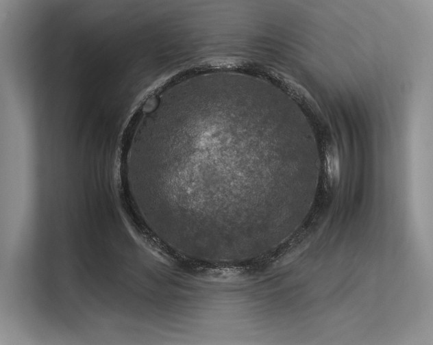 X0000113310492200909211145