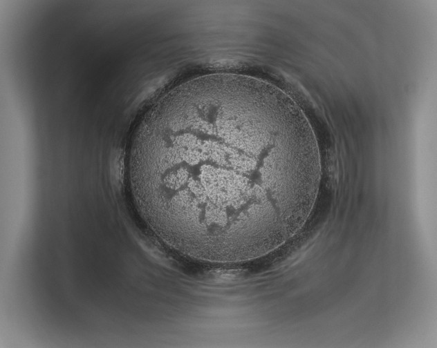 X0000113310495200909211145