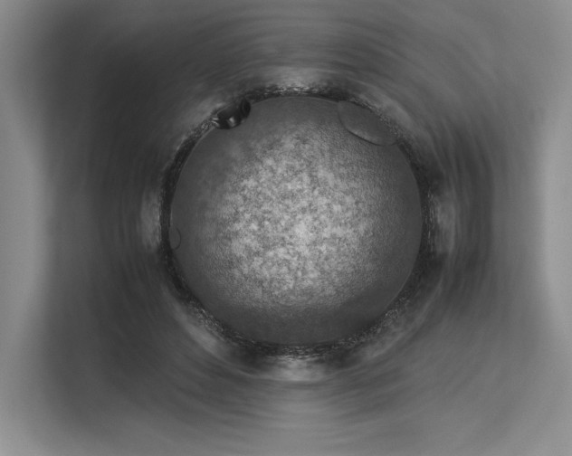 X0000113310496200909211145