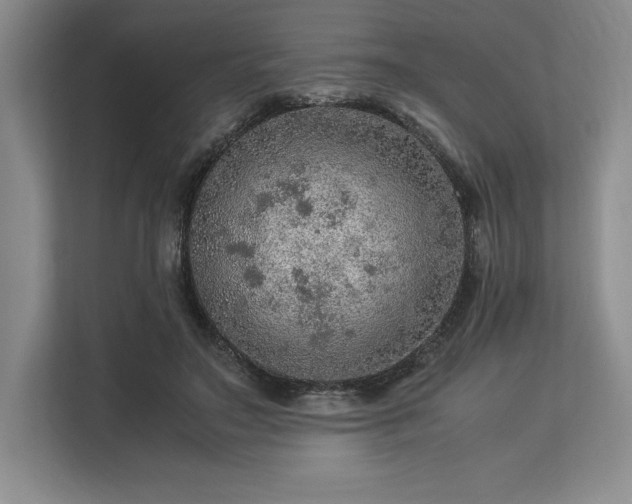 X0000113310499200909211145