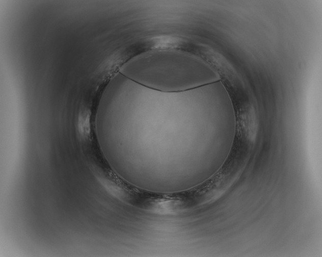 X0000113310504200909211145