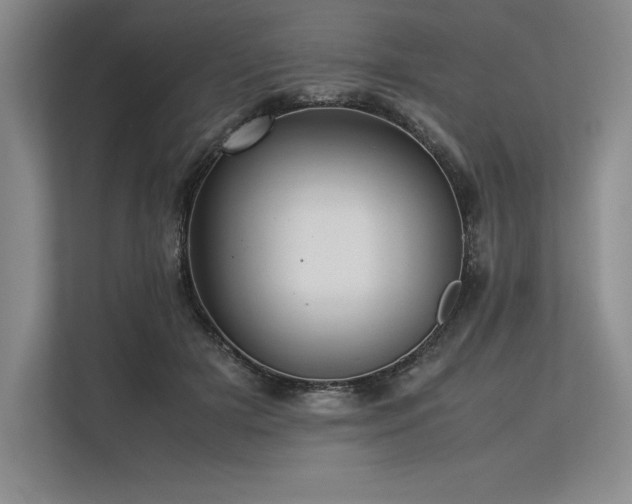 X0000113310505200909211145